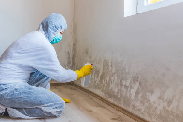 Licensed Mold Inspection service in Oxford, GA - WQB Mold Removal
